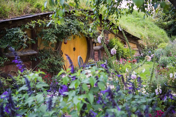 Auckland to Rotorua via Hobbiton Small Group Tour (One Way) - Small-group day: what “up to 15/16 people” feels like