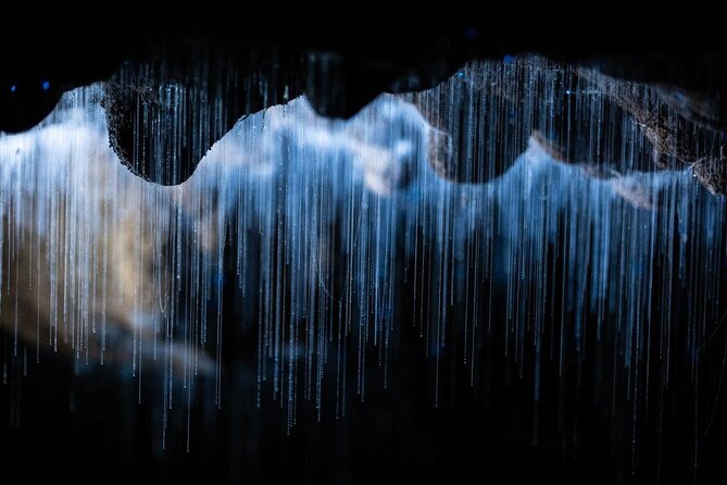 Auckland to Rotorua via Waitomo Caves Small Group Tour (One Way) - Waitomo Glowworm Caves: guided formations, no photos, and a calmer kind of wow