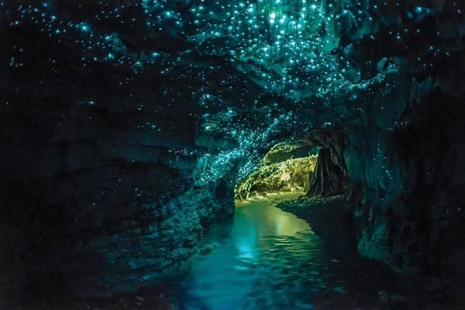 Auckland to Rotorua via Waitomo Caves Small Group Tour (One Way) - The 6:00 am start: how it affects your whole day