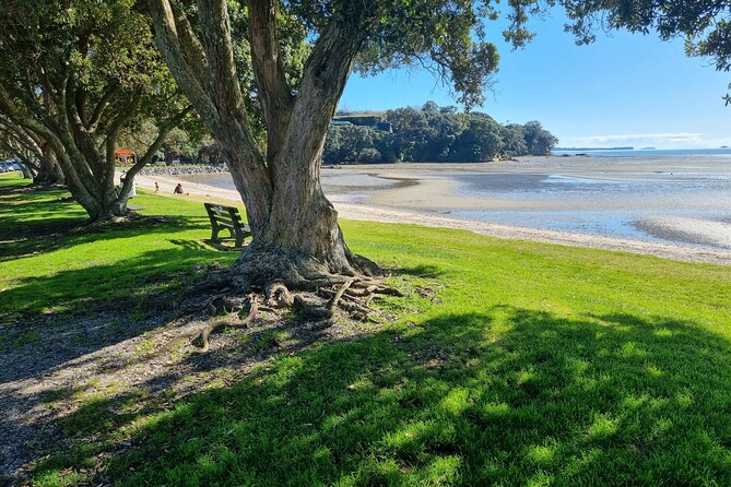 Auckland Town and Country Delights Tour - Auckland Town and Country Delights: Key Highlights Worth Your Time