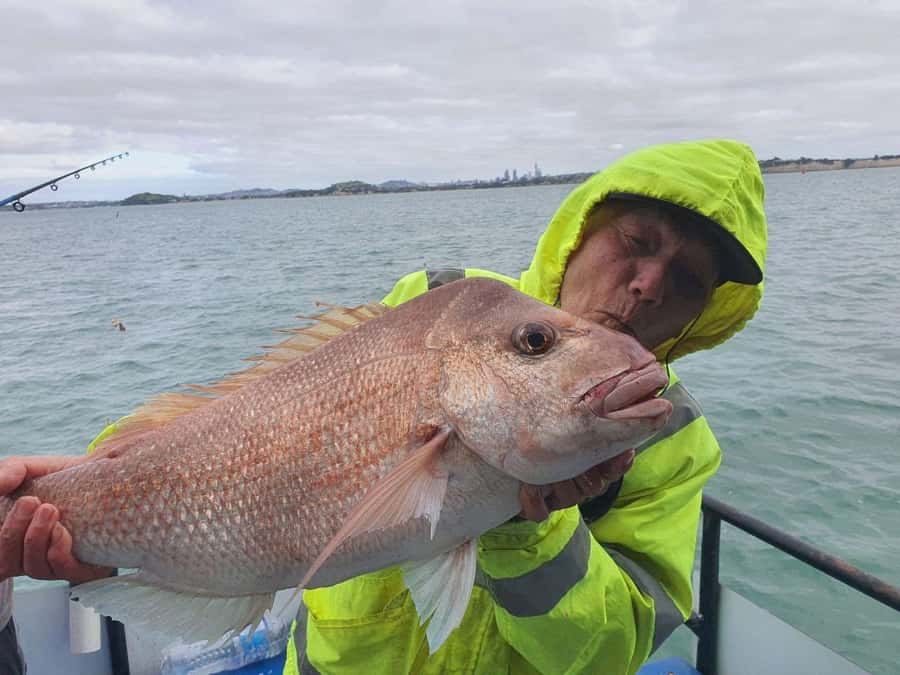 Auckland: Twilight Fishing Charter 5pm - 9:30pm - Price and value: is $40 per person really a deal?