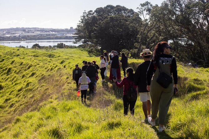 Auckland Urban Māori Experience with Transportation - Te Pane o Mataoho: dormant volcano views with a personal urban story