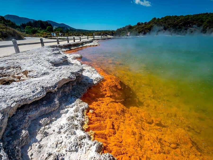 Auckland: Wai-O-Tapu, Maori Haka & Hot Springs Rotorua Tour - Wai-O-Tapu geothermal park: steam, sulfur, and big-scale geology