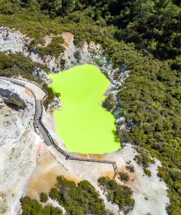 Auckland: Wai-O-Tapu, Maori Haka & Hot Springs Rotorua Tour - Price and value: what $233 buys you (and what it doesn’t)