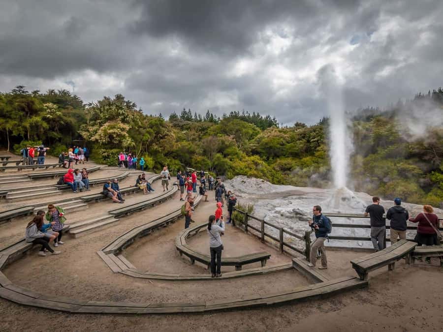 Auckland: Wai-O-Tapu, Maori Haka & Hot Springs Rotorua Tour - Who should book this tour?