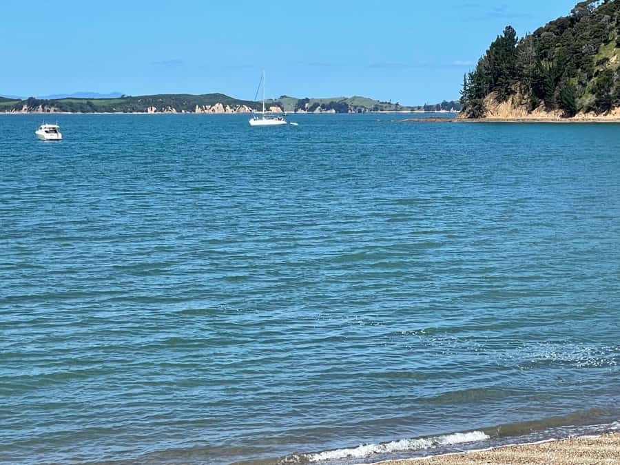 Auckland: Waiheke Island Luxury Experience Private Tour - Three Wineries, One Guided Story: Tastings With Context