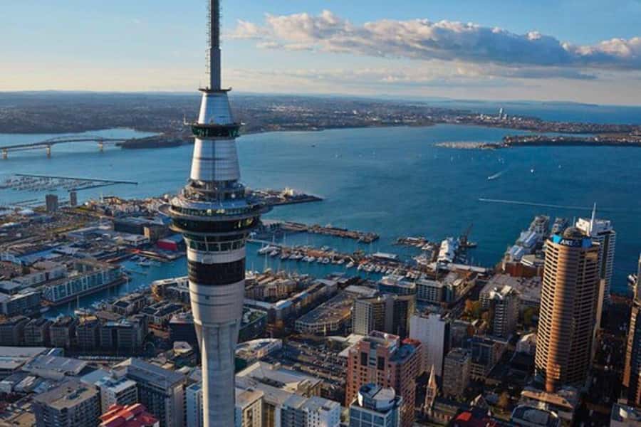 Auckland: Waiheke Island Wine and Food Tasting with Flights - Key Highlights That Make This Day Worth It