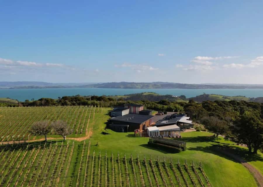 Auckland: Waiheke Island Wine and Food Tasting with Flights - First, The Big Idea: Why This Tour Feels Different
