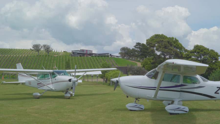Auckland: Waiheke Island Wine and Food Tasting with Flights - The Three-Course Lunch: Food You’ll Actually Remember