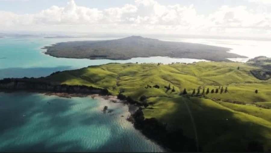 Auckland: Waiheke Island Wine and Food Tasting with Flights - The Return: Driver, Scenic Stop Moments, and Back to Auckland