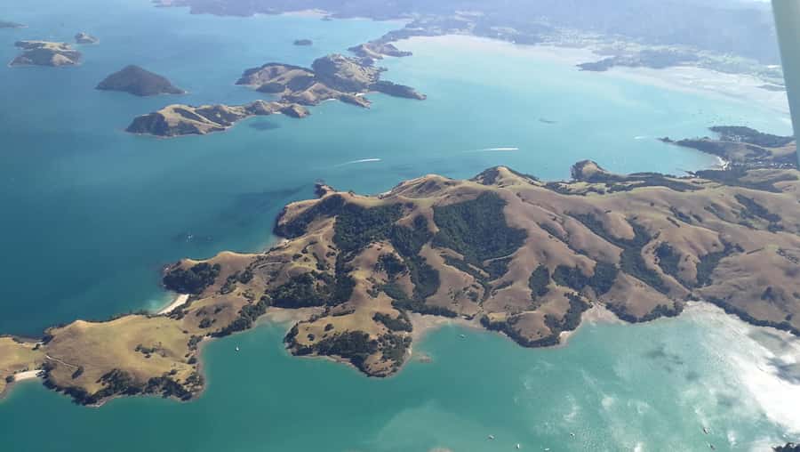 Auckland: Waiheke Island Wine and Food Tasting with Flights - When Weather Changes Everything (And How That Affects Your Day)