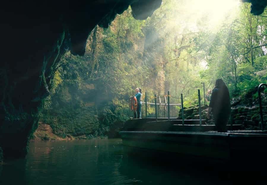 Auckland: Waitomo Caves & Rotorua - Te Puia Small-Group Tour - The Rotorua drive: what you actually get besides the main sights