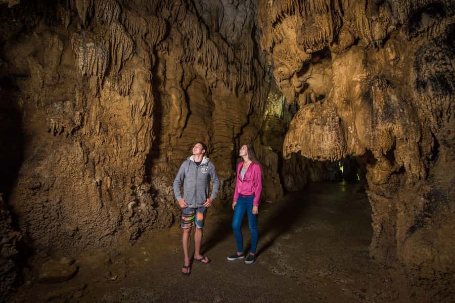Auckland: Waitomo Caves & Rotorua - Te Puia Small-Group Tour - Value check: is $244 reasonable for Waitomo plus Te Puia?