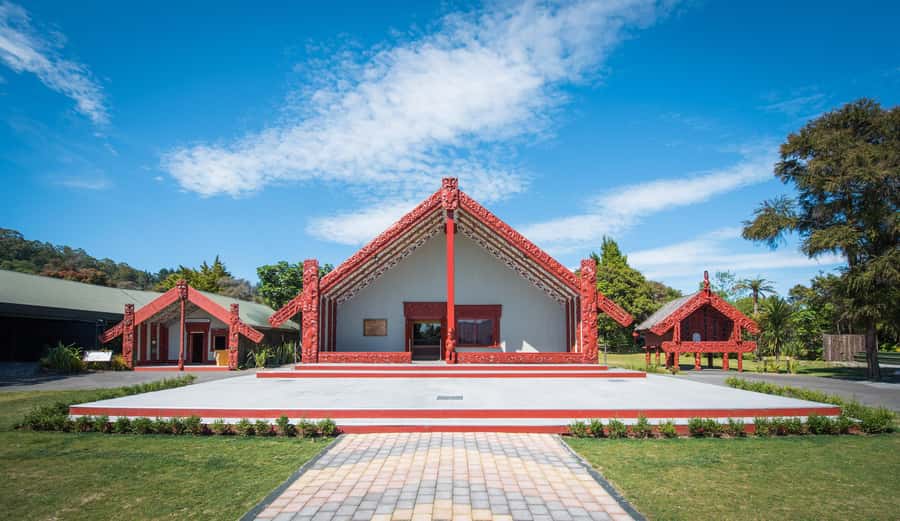 Auckland: Waitomo Caves & Te Puia Rotorua w Picnic Lunch - Small-group pacing and the guide effect (hi David)