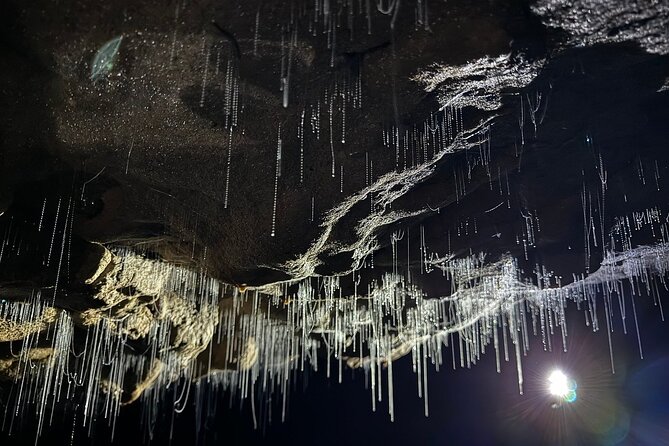 Auckland : Waitomo Spellbound Glow Worm Twin Caves Private Tour - Private Luxury Transfer From Auckland: Start Easy at 7:45