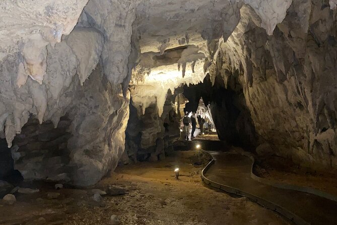 Auckland : Waitomo Spellbound Glow Worm Twin Caves Private Tour - Tea/Coffee Break Between Caves and Real Lunch Choices