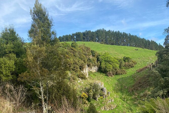 Auckland : Waitomo Spellbound Glow Worm Twin Caves Private Tour - Guides Matter: Aaron’s Drive and Pete’s Cave Storytelling