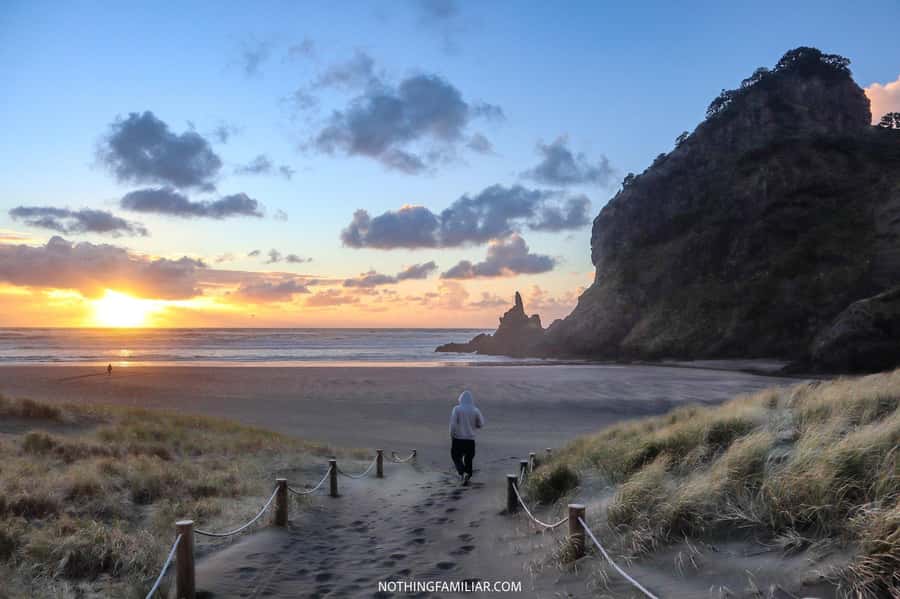 Auckland: West Coast Discovery - Karekare Waterfalls: photo time that can steal the show