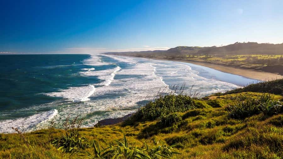 Auckland: West Coast Discovery - The Waitakere Ranges drive and Arataki viewpoints you’ll be glad you didn’t skip