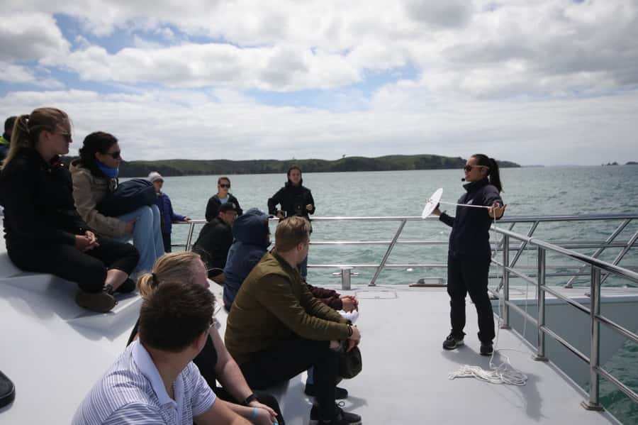 Auckland: Whale and Dolphin Watching Half-Day Eco Cruise - Getting Real Up-Close Views From the Dolphin Explorer