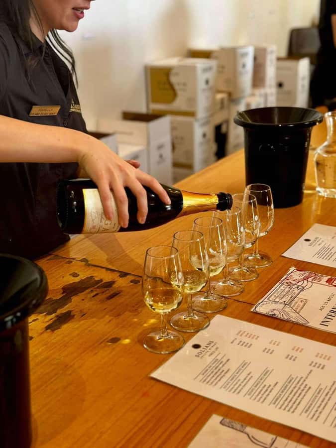 Auckland: Wine region tour with tastings and gourmet lunch - Key highlights you’ll actually care about