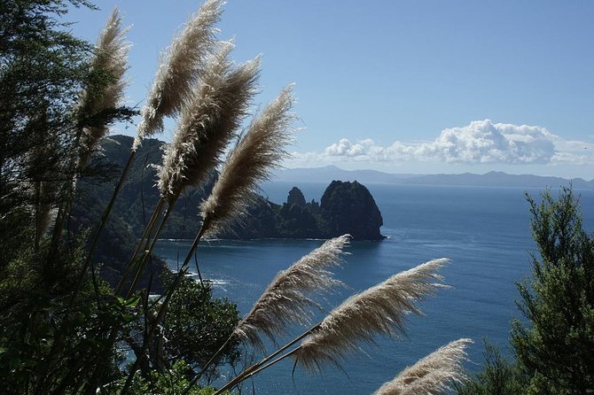 Bay of Islands 2-Day Small Group Tour & Cruise from Auckland - Paihia overnight base: convenient, but pick your lodging setup carefully