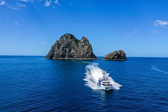 Bay of Islands 2-Day Small Group Tour & Cruise from Auckland - Matakohe Kauri Museum: start with the human story first