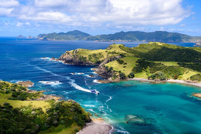 Bay of Islands Discovery Experience from Auckland incl. Hole In The Rock Cruise - Key points to know before you go