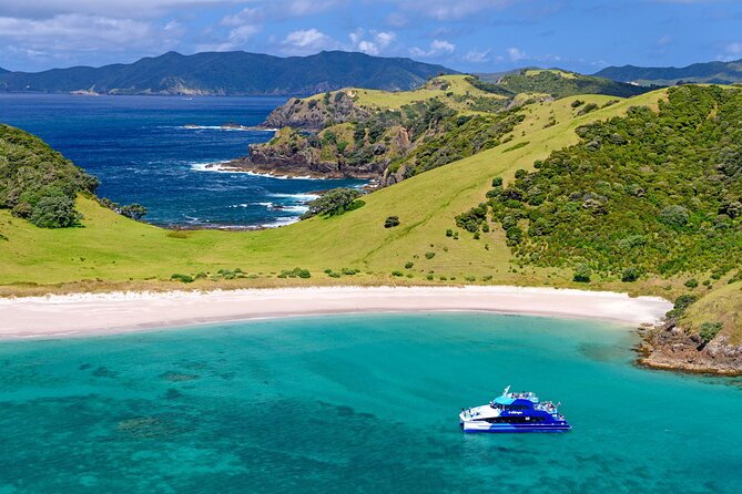 Bay of Islands Discovery Experience from Auckland incl. Hole In The Rock Cruise - Otehei Bay and Urupukapuka: the 1.5-hour island stop you’ll actually use