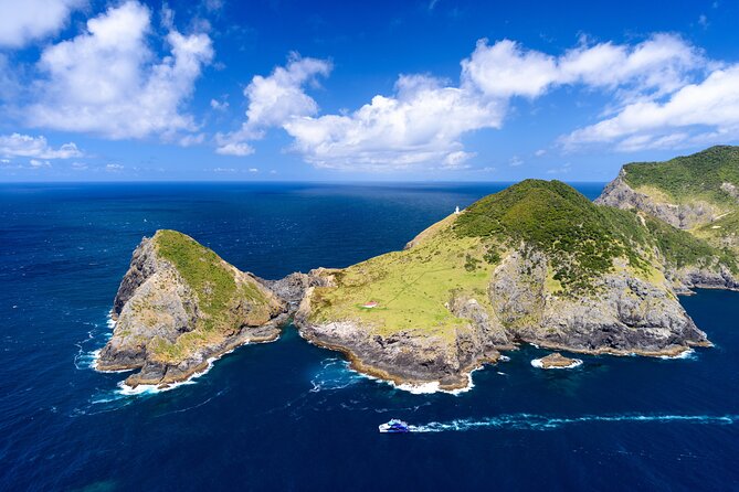 Bay of Islands Discovery Experience from Auckland incl. Hole In The Rock Cruise - Packing tips that help you enjoy every stop