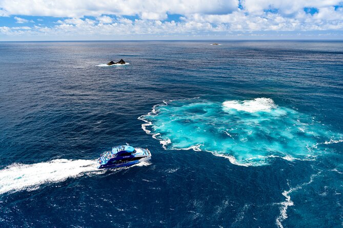 Bay of Islands Explorer Experience Small Group Tour From Auckland - The 4.5-hour Hole in the Rock dolphin cruise: wildlife plus big scenery