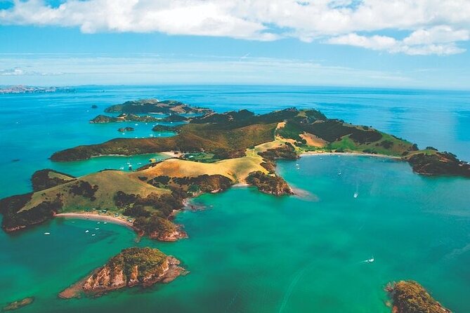 Bay of Islands Private Tour - A Long Day North: What the 12 Hours Actually Look Like