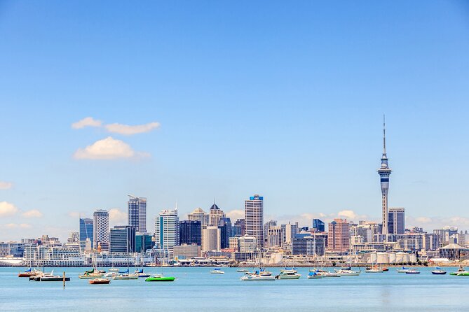 Bay of Islands Private Tour - Food and Comfort on a Full-Day Schedule