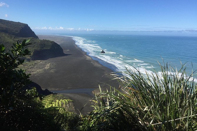 Beautiful Nature Tours Auckland - Private Tour - Price and Value: What You’re Actually Paying For