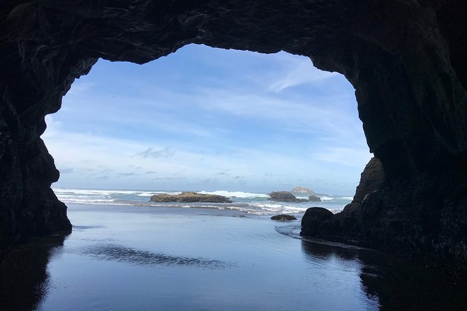 Beautiful Nature Tours Auckland - Private Tour - Stop 1: Muriwai Gannet Colony and the Wild Coast Mood