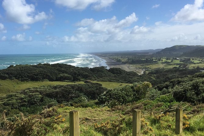 Beautiful Nature Tours Auckland - Private Tour - Wildlife Chances: Gannets, Seals, and Dolphins (and Why Timing Matters)