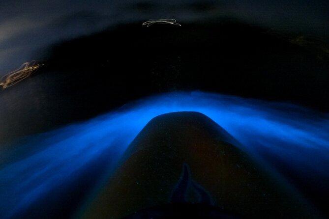 Bioluminescence Kayak Tour - Est. 1994 - Key Things I’d Pay Attention To