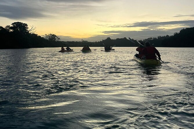 Bioluminescence Kayak Tour - Est. 1994 - Gear, Comfort, and That Inevitable Wet Moment