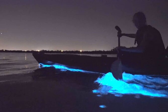 Bioluminescence Kayak Tour - Est. 1994 - Price and Value: Is $73.85 Worth Two Hours?