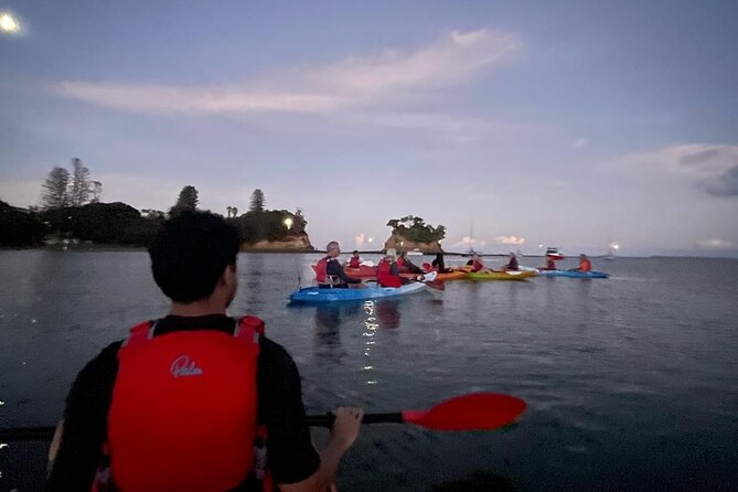 Bioluminescence Kayak Tour - Est. 1994 - Weather, Darkness, and the Photo Expectations You Should Set