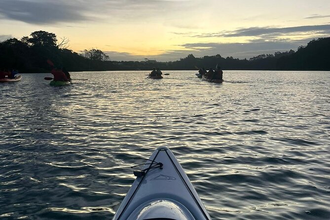 Bioluminescence Kayak Tour - Est. 1994 - Meeting at Ascension Place: Logistics That Keep It Easy