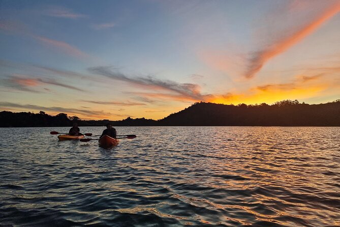 Bioluminescence Kayak Tour - Est. 1994 - Bioluminescence Reality Check (and How to Get More From It)