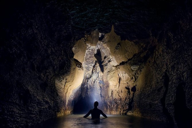 Black Abyss: Ultimate Waitomo Caving - Private Tour from Auckland - Private Tour Size: A More Direct Kind of Adventure