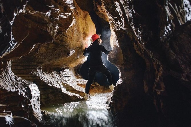 Black Abyss: Ultimate Waitomo Caving - Private Tour from Auckland - Water Temperature and Cold-Water Reality: 10 to 14C Year-Round