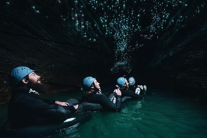 Black Labyrinth: Black Water Rafting - Private Tour from Auckland - Key things that make this tour worth a serious look