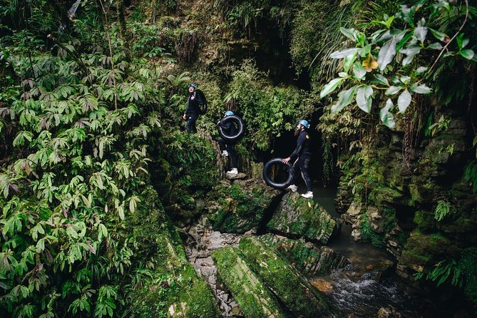 Black Labyrinth: Black Water Rafting - Private Tour from Auckland - Waitomo Homestead: hot shower, BBQ buffet lunch, and a reset