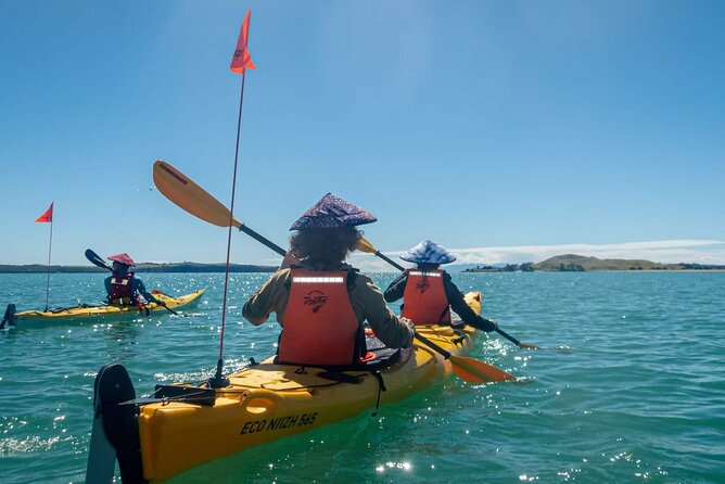 Browns Island Motukorea Sea Kayak Tour - Browns Island time: volcanic cones, pā remnants, and the Barnard flight story