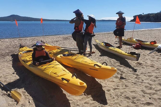Browns Island Motukorea Sea Kayak Tour - The return paddle: Harbor views that feel different from the water