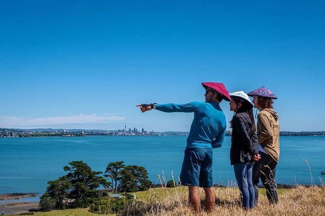 Browns Island Motukorea Sea Kayak Tour - Guides, group size, and what the tour pacing really feels like