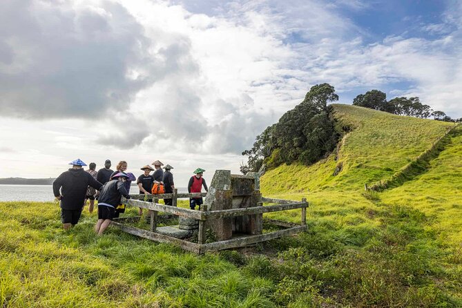 Browns Island Motukorea Sea Kayak Tour - Who should book this sea kayak tour (and who should reconsider)